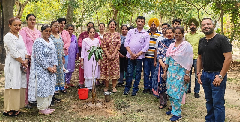 Planted fruitful and shady plants for the purification of the environment at Health Center Koli